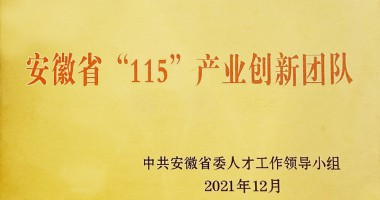 芜湖市市委组织部为凯时kb88国际官网首页,kb88凯时官方网站,k8凯时·国际官方网站光电安徽省“115”产业创新团队授牌